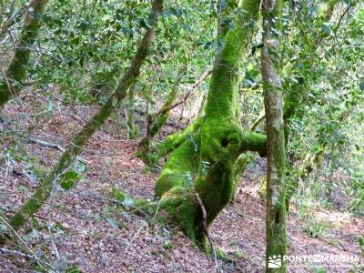 Sierra del Caurel (Serra do Courel) senderistas madrid excursiones de senderismo hacer senderismo en